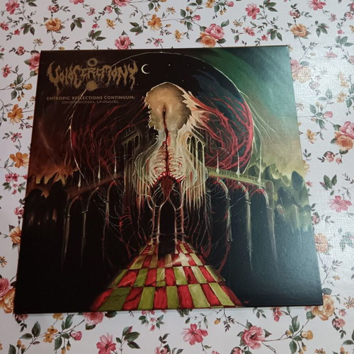 Voidceremony Entropic Reflections Continuum Dimensional Unravel vinyl
