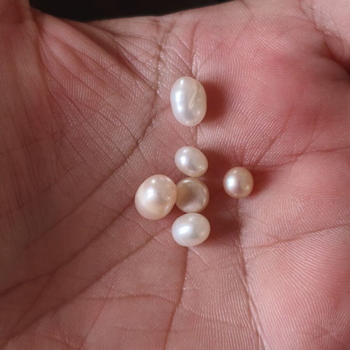 Set of 6 natural freshwater pearls