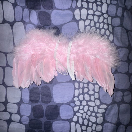 Feather wings for newborn photo shoot