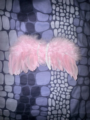 Feather wings for newborn photo shoot