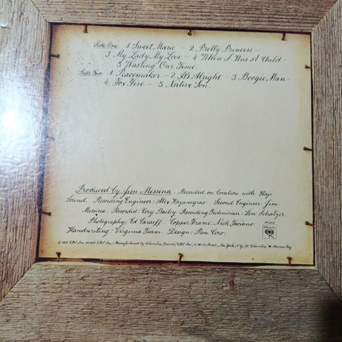 Logins & Messina Native Sons vinyl record