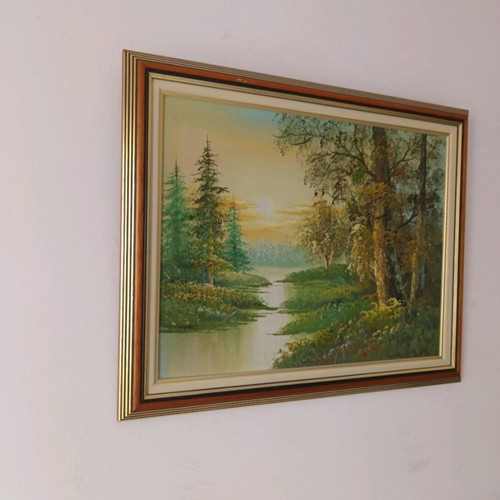 Painting 50x40 cm used, framed