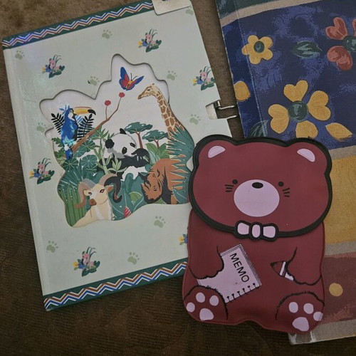 Vintage scented letters collection in folder like new, 30 letters, 20 envelopes
