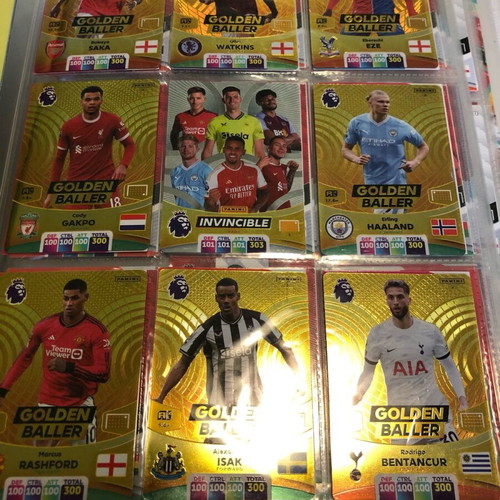 Panini Premier League 2024 Complete Basic Collection