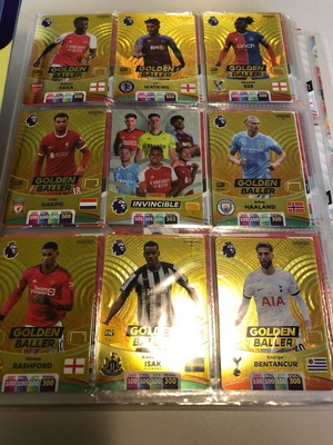 Panini Premier League 2024 Complete Basic Collection