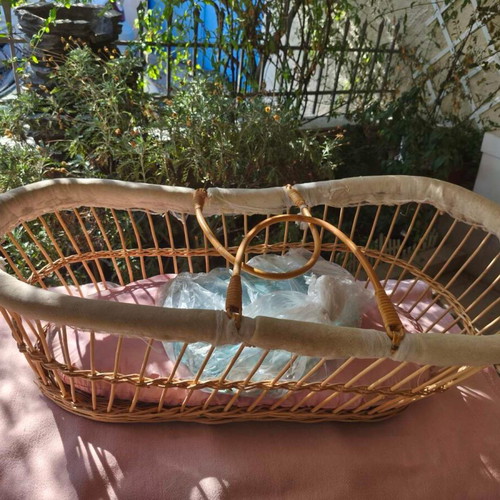 Vintage baby bassinet with mosquito net and covers
