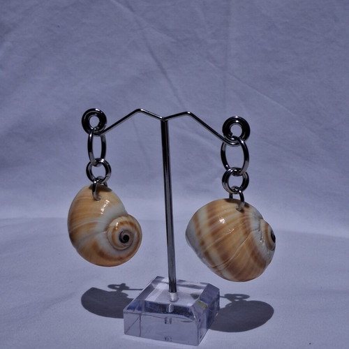 Summer jewelry set with shells, necklace and earrings, new, silver