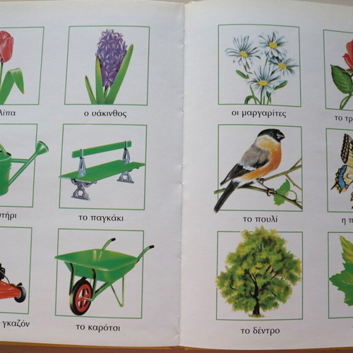 The First Illustrated Encyclopedia for Children 3-5 Years used