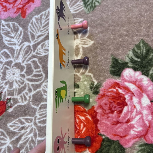 Kids Ikea hangers set of 16 with Zara hooks like new