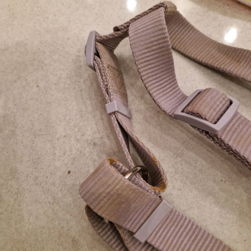 Small Dog Harness used