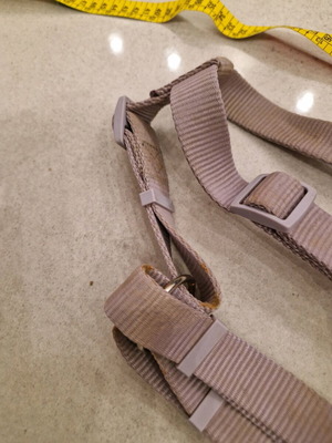 Small Dog Harness used