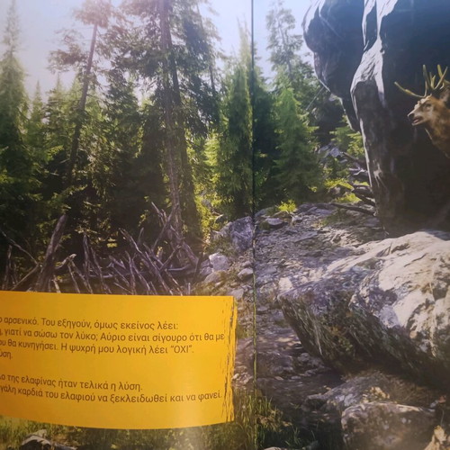 The Animals of the Forest new children's book