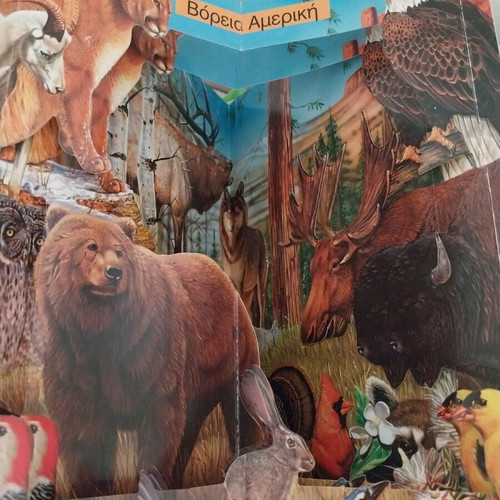 Animals book-carousel like new, Savvalas editions