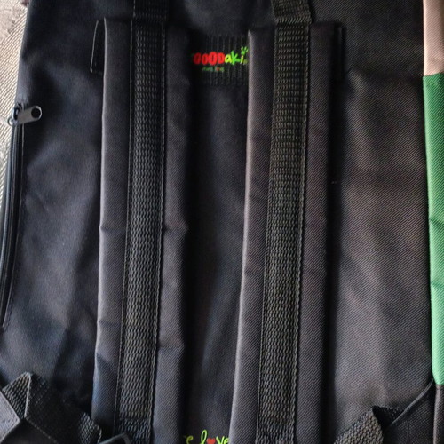 Set of 2 ArGOODaki (Goody's) collectible backpacks red and green like new