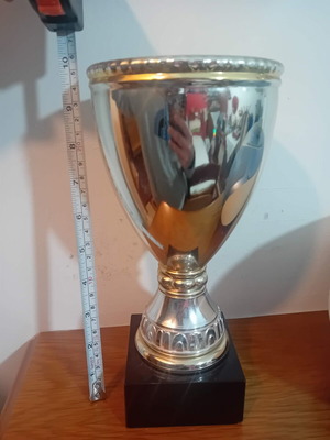Metal trophy 25cm like new, official replica