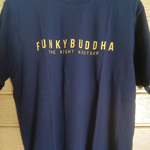 Funky Buddha T-shirt size L like new, blue