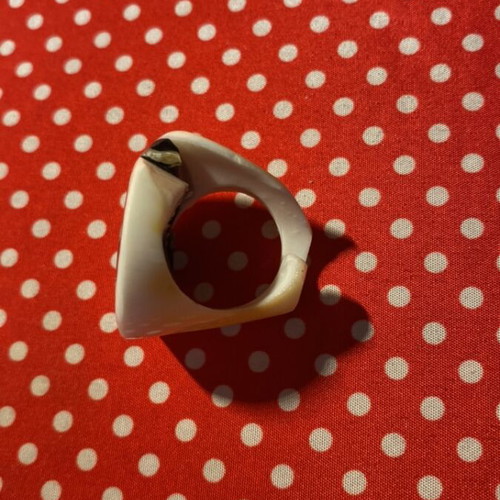 Ring made from shell
