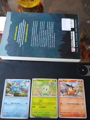 Pokemon Ascended Heroes Promo Cards lot new