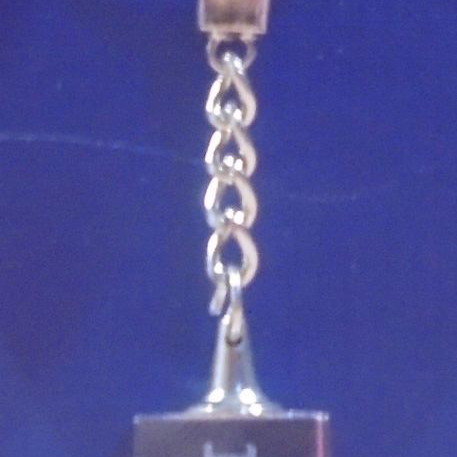 Dimple scotch whisky promotional keychain new