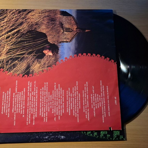 Simple Minds Street Fighting Years LP like new, rock