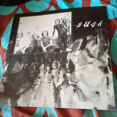 Bush Sixteen Stone vinyl record used, rock genre