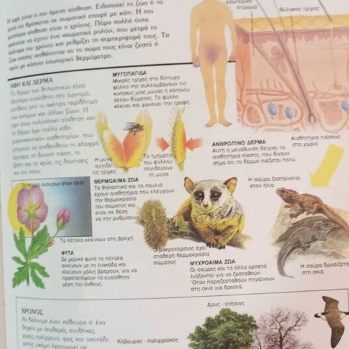How Nature Works children's book used