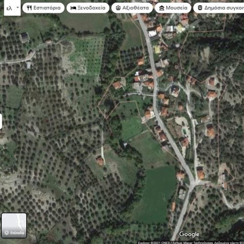 Land with olive trees buildable, 1.5 acres in Trikorfo Chalkeias
