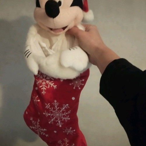 Mickey Mouse Christmas stocking from America