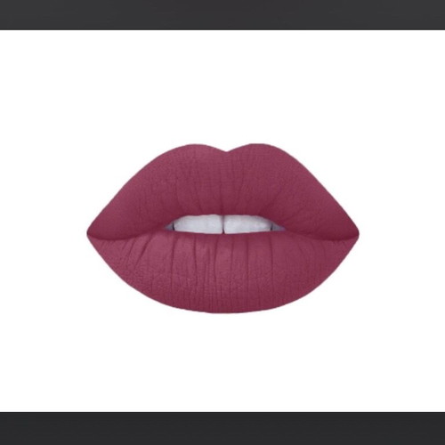 Dido matte jumbo 16 2-in-1 lip pencil new