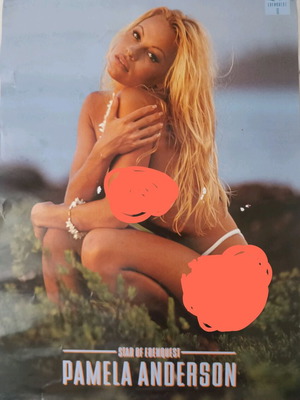 Pamela Anderson Poster