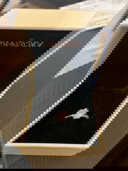 Μονόπετρο PANDORA