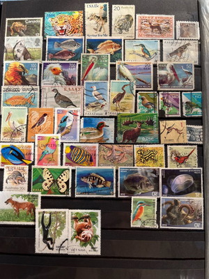 Animal stamps like new from around the world
