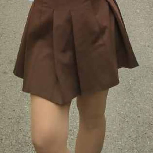 Pleated brown skirt Decoro like new, one size