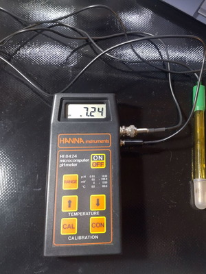 Hanna HI 8424 pH meter used with probes