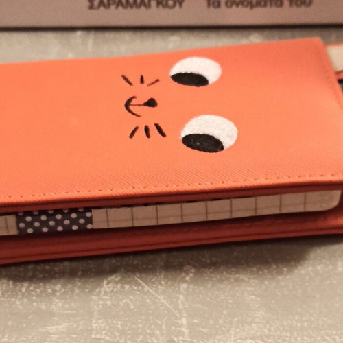 A6 notebook with cat case new