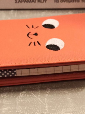 A6 notebook with cat case new