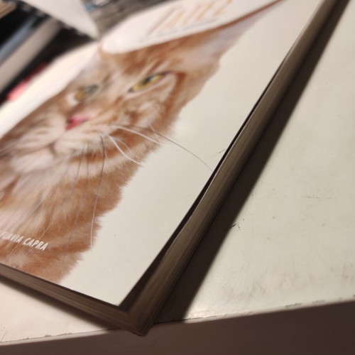 Cats breeds, care, behavior like new book