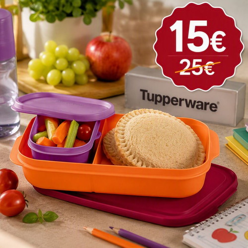 Tupperware food container with divider 590ml and mini 120ml, new