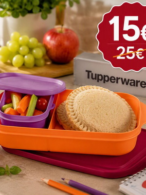Tupperware food container with divider 590ml and mini 120ml, new