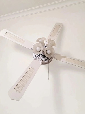 Ceiling fan with light used, 4 blades white flower design