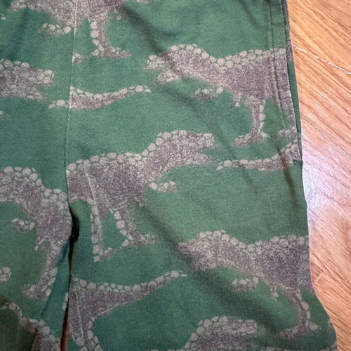 Gap tracksuit for 4-year-old boy like new, green with dinosaur print