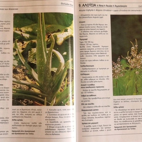 Guide to Floriculture 4 volumes like new, set