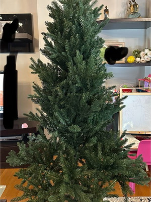 Christmas tree new, height 1.8 meters