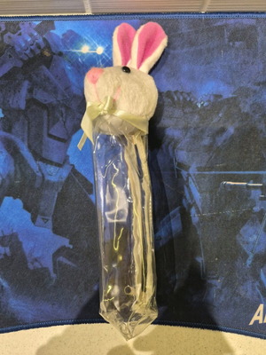 Easter Bunny Pencil Case like new