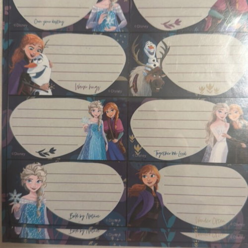Unicorn pencil case set with Barbie, Minnie, Elsa labels and body tattoo