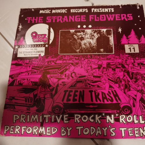 Strange Flowers by Teen Trash vinyl like new