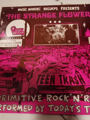 Strange Flowers by Teen Trash vinyl like new