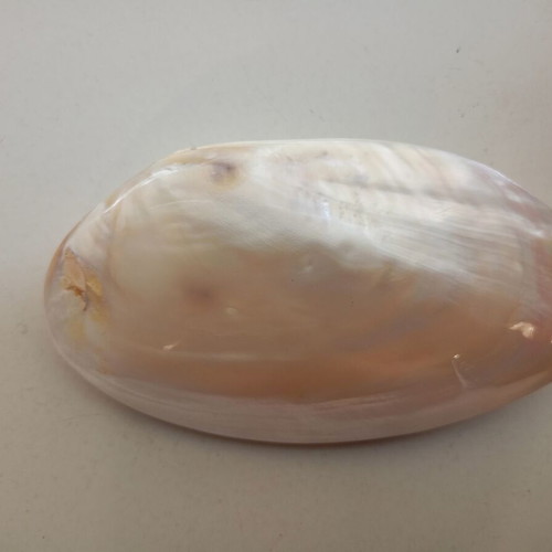 Mother of pearl shell used, lightweight, decorative