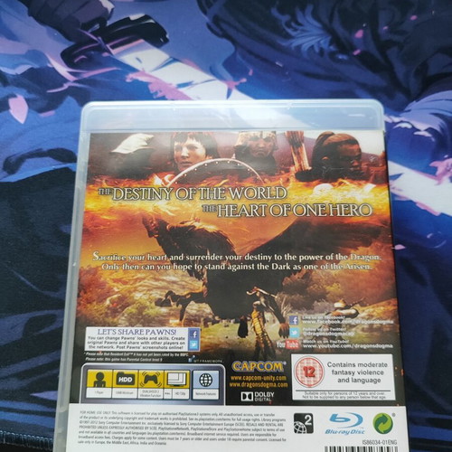 Dragon's Dogma PS3 game