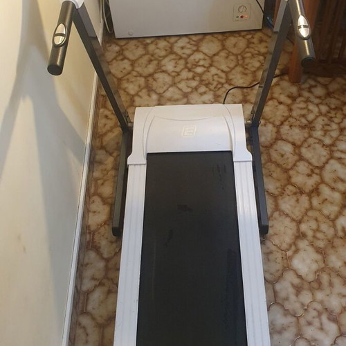 Energetics treadmill